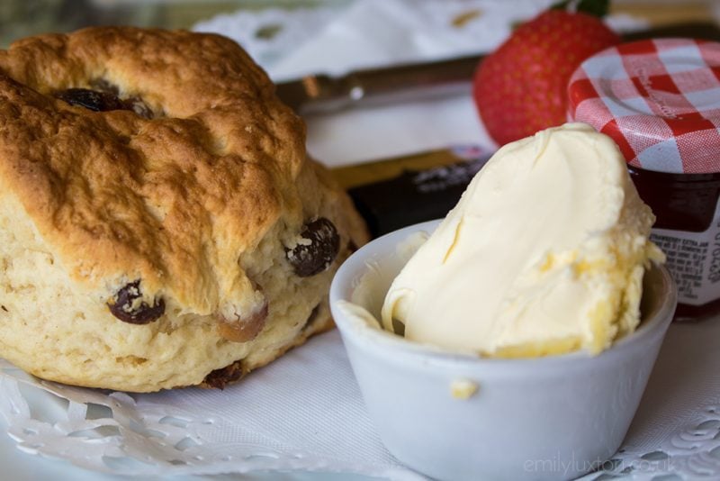 scone on a plate with a pot of cream and a mini jar of jam