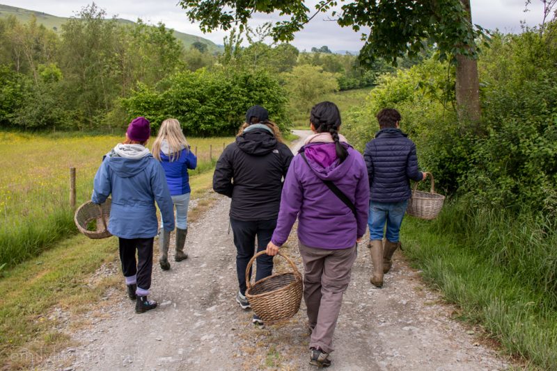 group of 5 adults wearing raincoats and hiking trousers walking away from the camera down a dirt path alongside a grassy field with trees in the distance. The womand closest to the camera is wearing a bright purple jacket and has dark hair in a ponytail. She is carrying a wicker basket.