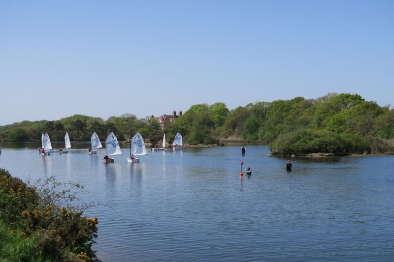 Serene lake with small sailboats, part of a sailing activity. People stand in the water, likely instructors. Background features green trees and a red-roofed building under a clear blue sky.