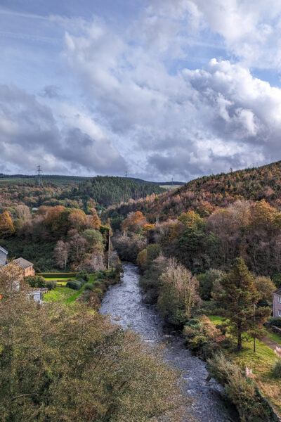 view of a river from a bridge above with dense forest on either side in autumn with golden leaves. Things to do in Neath Port Talbot.