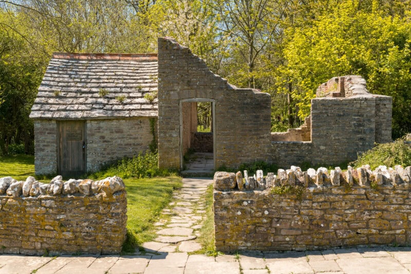 Ruined stone house with empty windows and no roof next to a grassy lawn with trees behind in the abandoned village of Tyneham.