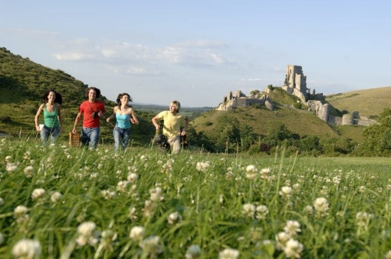 a group of 2 men and 2 women wearing brightly coloured t shirts running through a field of wildflowers with a ruined castle in the background